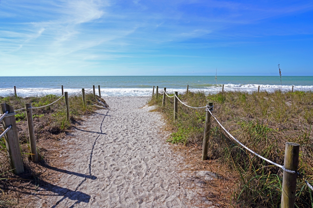 Capturing Captiva's Charm