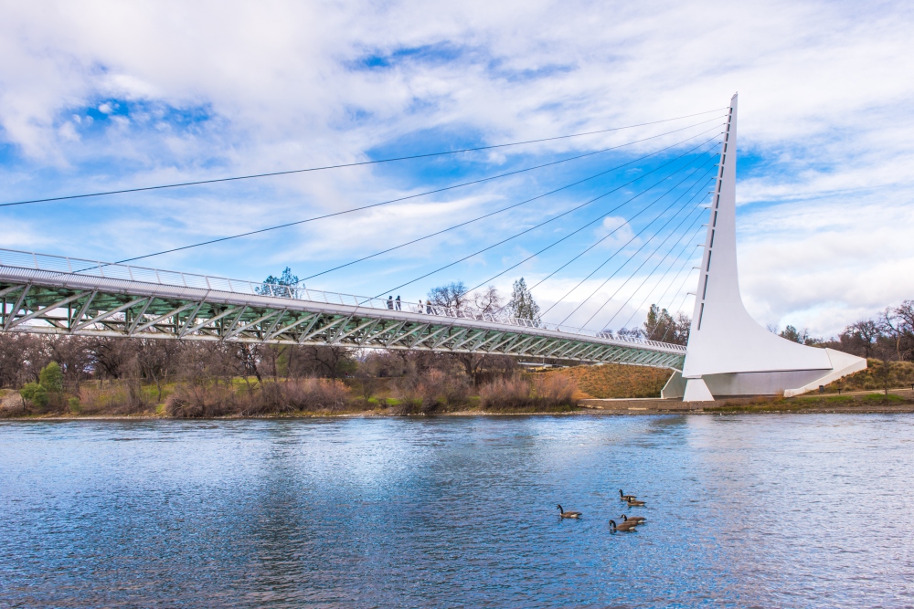 A Green Day by Redding’s River