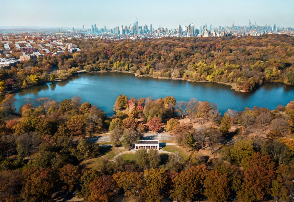 Prospect Parks Puzzling Pursuit