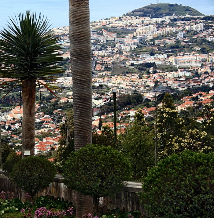 Funchal Portugal  Day Trip Photo 1
