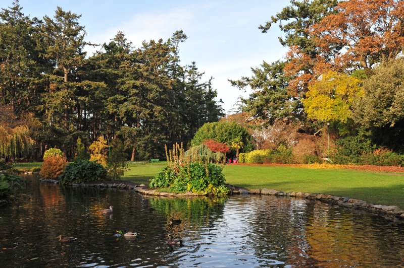 The Great Beacon Hill Park Roam-a-thon