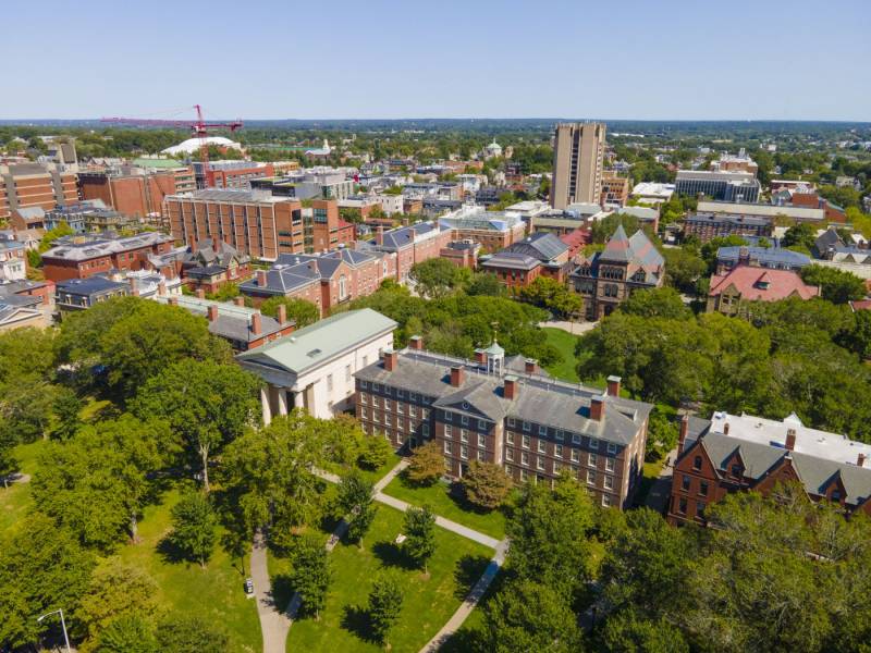 Bruno’s Big Brown University Adventure