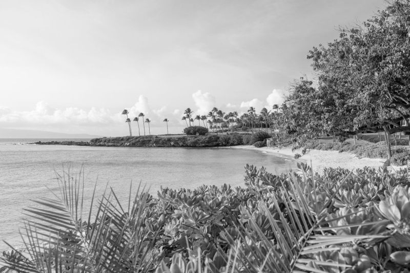 Maui Ghost Hunt