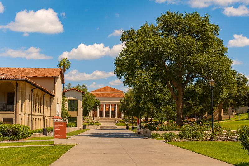 Oxy Spirit Hunt: Roam with the Tigers