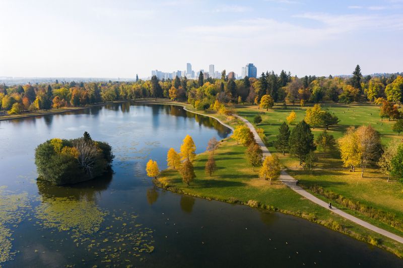 Tree-mendous Times at Washington Park