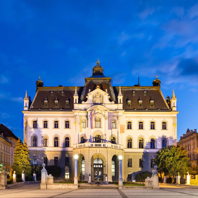 From Grammar to Glory: The Ljubljana Challenge