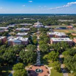 Whisker Wonders: The Wildcat Clue Chase 카드 이미지