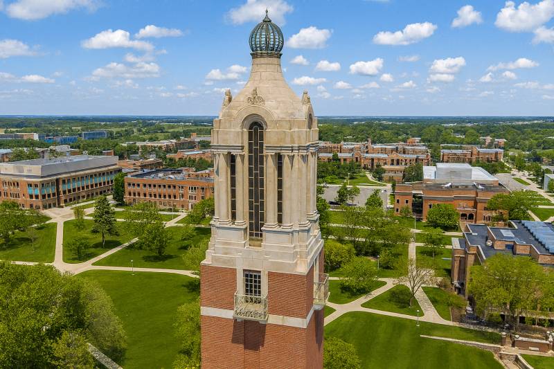 Ears Up, Clues Out: The Jackrabbit Spirit Hunt