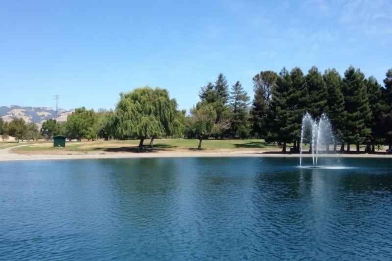 Lucky Lucchesi: The Park Quest