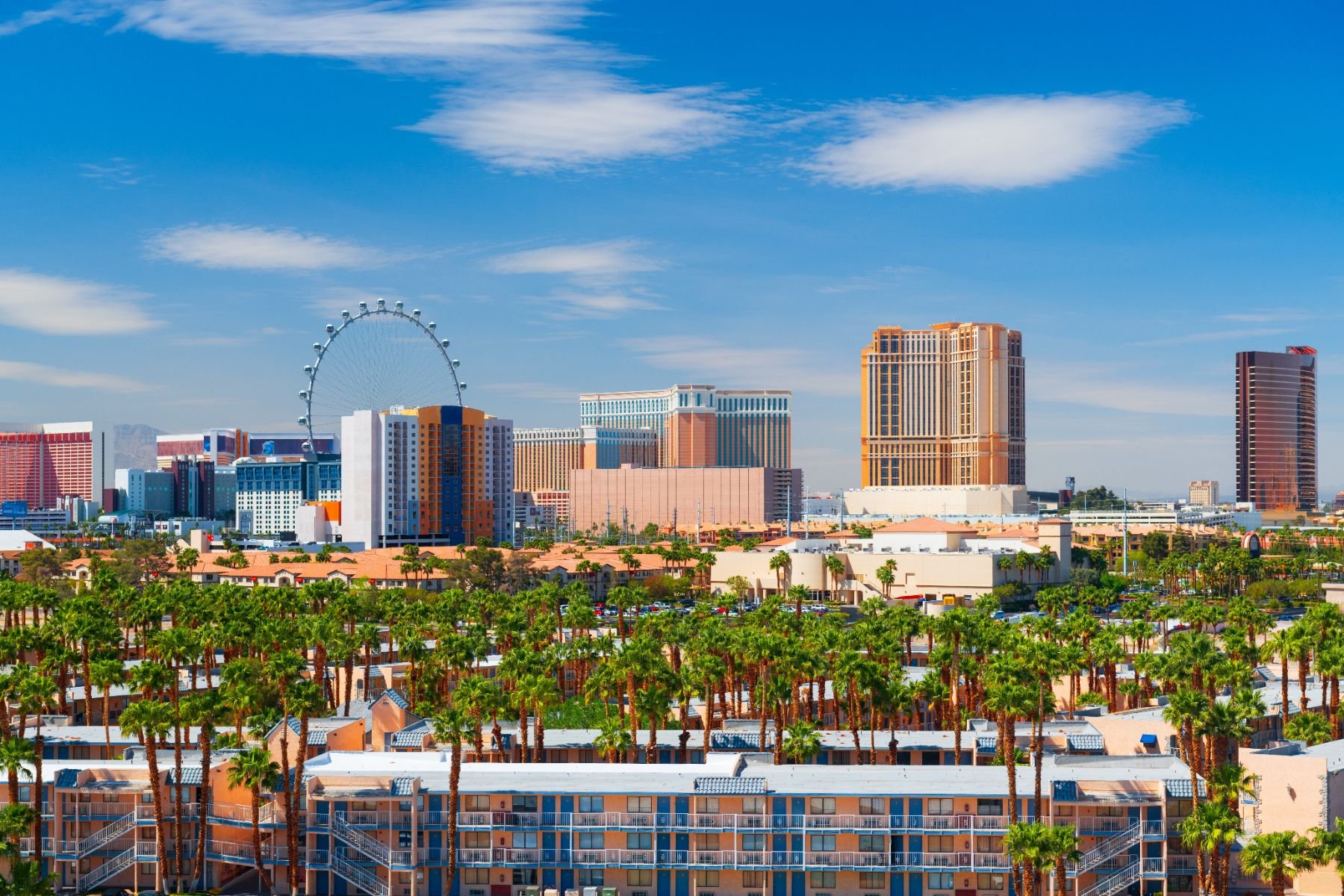 Pop Culture: CSI Vegas Locations Scavenger Hunt hero photo