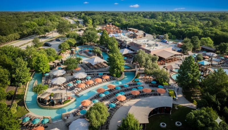 Taking Flight: The Dove Park Adventure