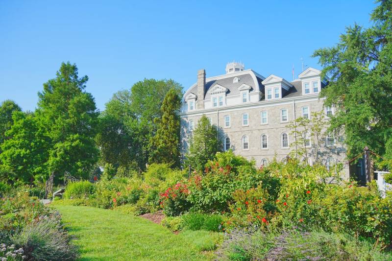 Royalty Walk: King of Prussia