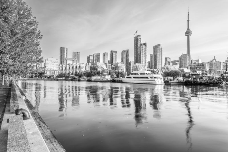 Dead Lights of Ontario