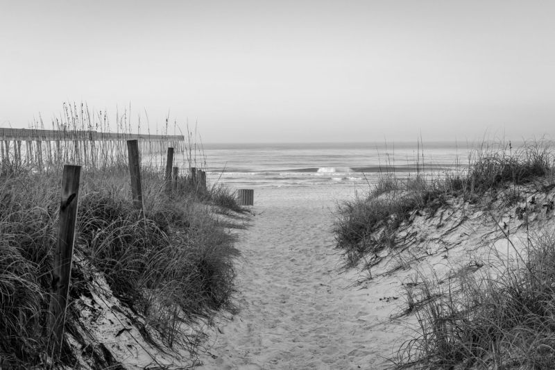 Haunt the Pier