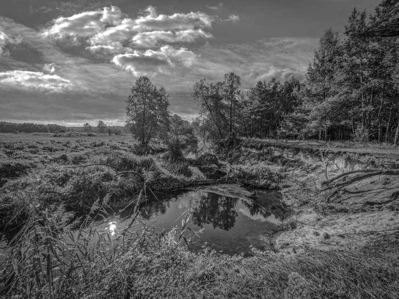 The Ghosts of Old Poland