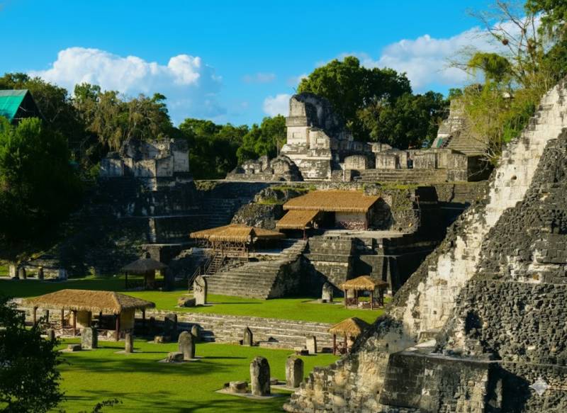 Tikal the Wild: A Quest Through Time and Canopy