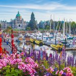 胜利的冒险：维克神秘追逐寻宝之旅卡牌图片