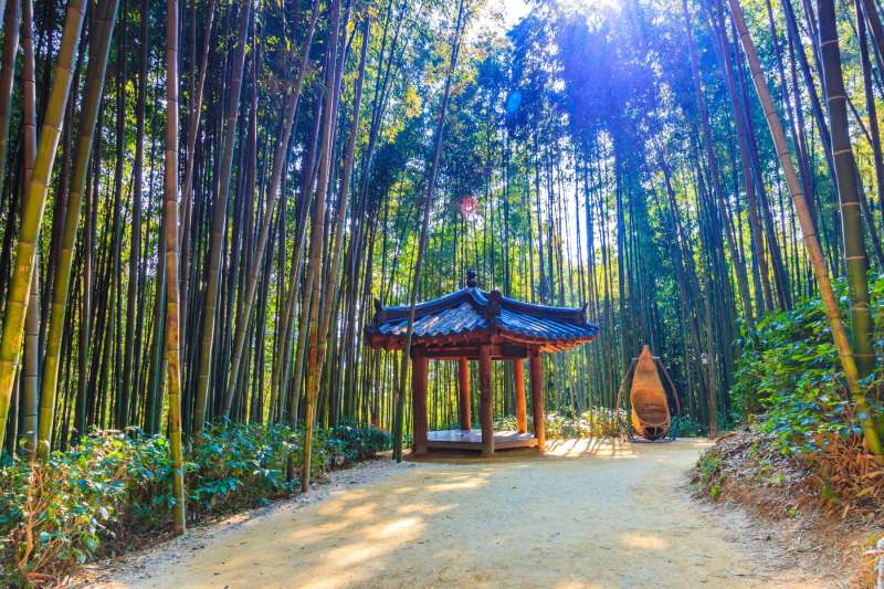 Damyang Scavenger Hunt