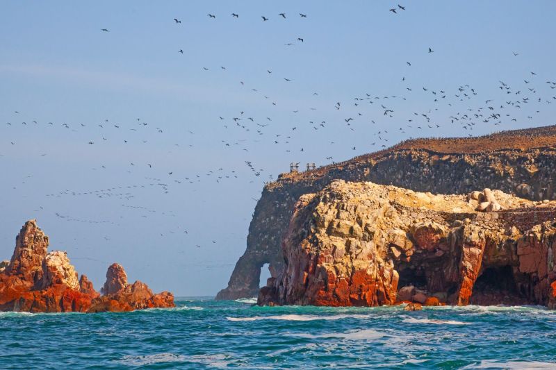 Discovering Paracas: Peru’s Coastal Wonder