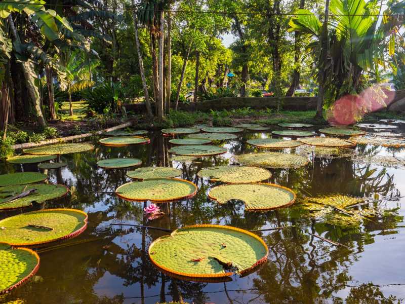 Leticia: Colombia’s Gateway to the Amazon