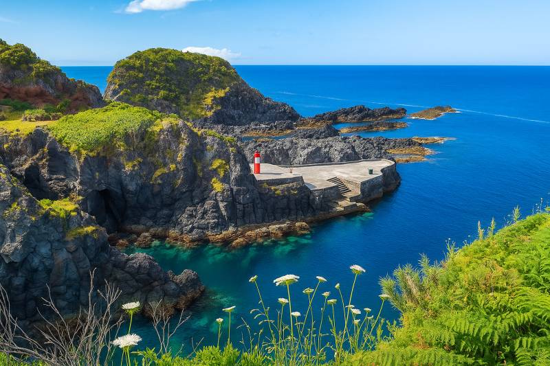 Island in Bloom: The Santa Cruz das Flores Chase