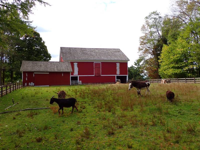 Minerva’s Wild Trail of Wonders