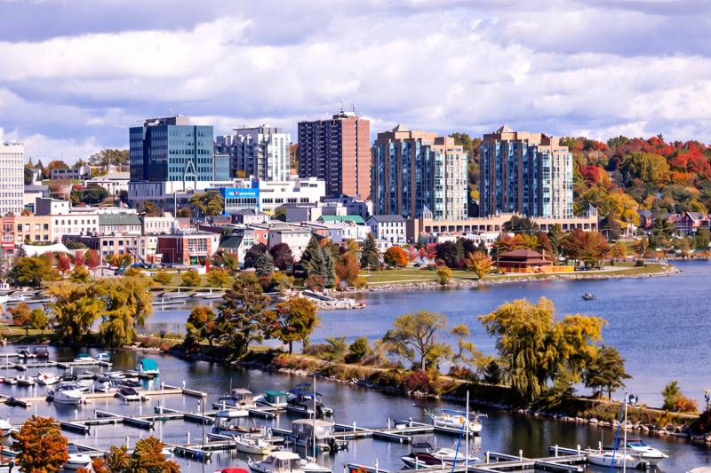 Barrie Scavenger Hunt hero photo