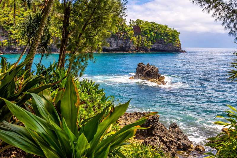 Hilo Scavenger Hunt hero photo