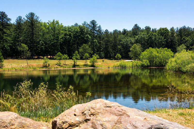 Dacula Scavenger Hunt hero photo