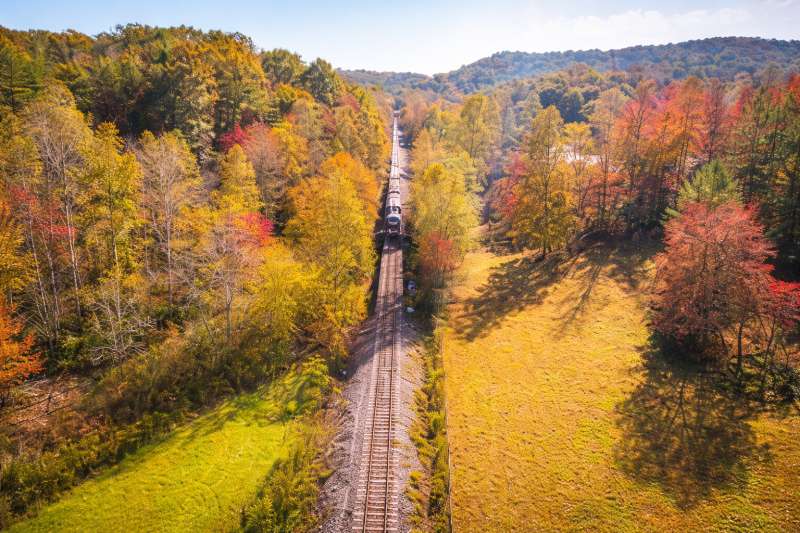 Ellijay Scavenger Hunt hero photo