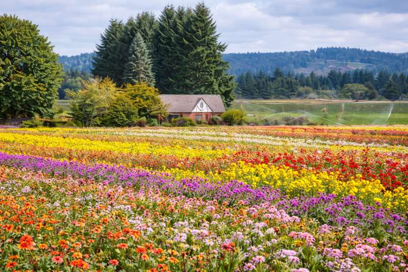 Canby Scavenger Hunt hero photo