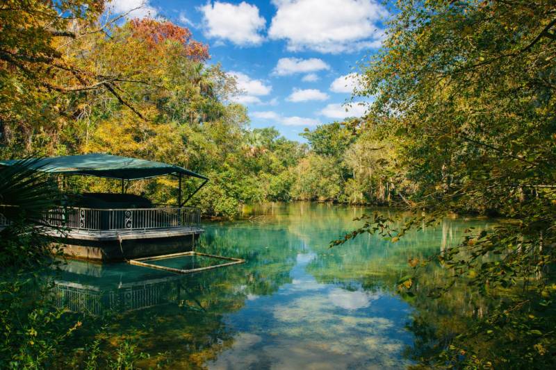 Homosassa Springs Scavenger Hunt hero photo