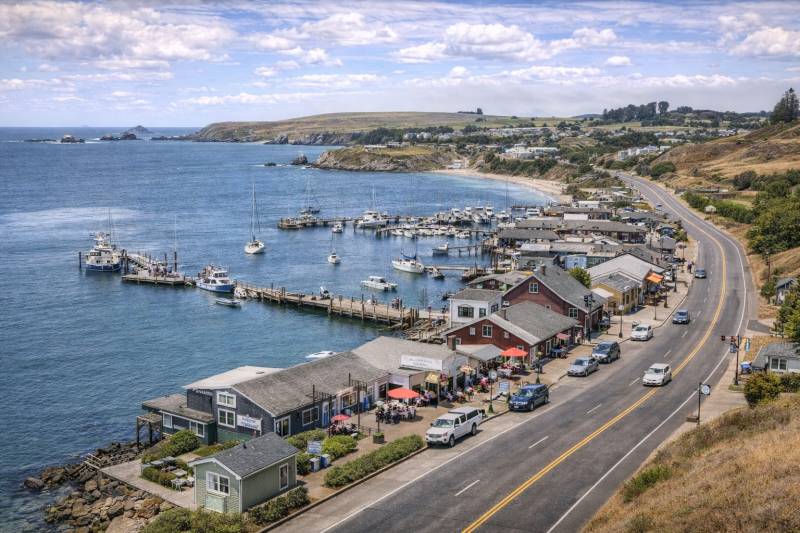 Bodega Bay Clifftop Views & Coastal Curiosities Scavenger Hunt card image