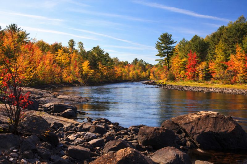 Petawawa Scavenger Hunt Scavenger Hunt card image