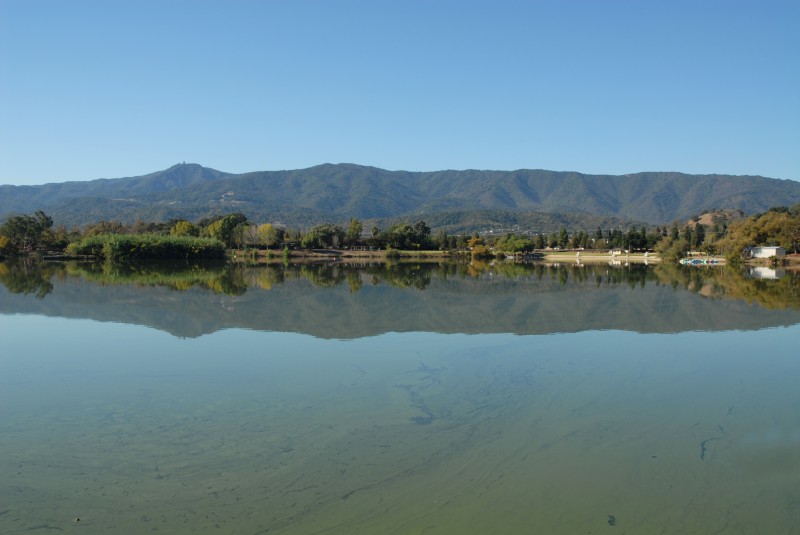 Almaden All-Star Adventure Hunt Scavenger Hunt card image