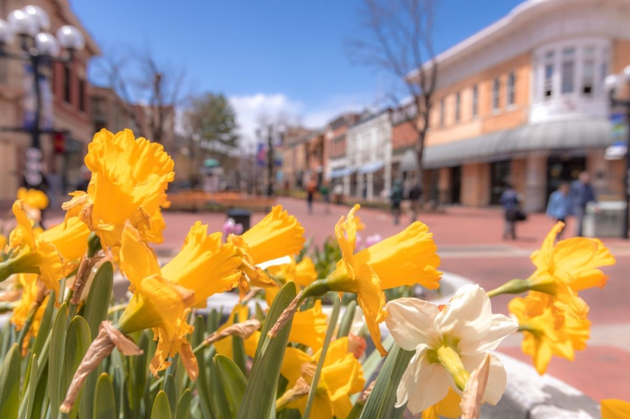 Foto principale della caccia al tesoro di Pearl Street Mall