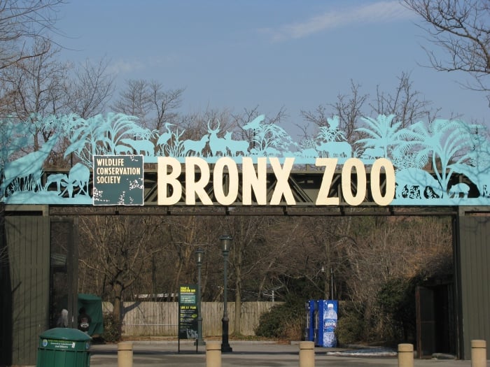 The Bronx New York  Day Trip Photo 1