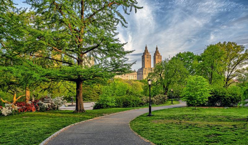 Central Park Adventure Scavenger Hunt card image