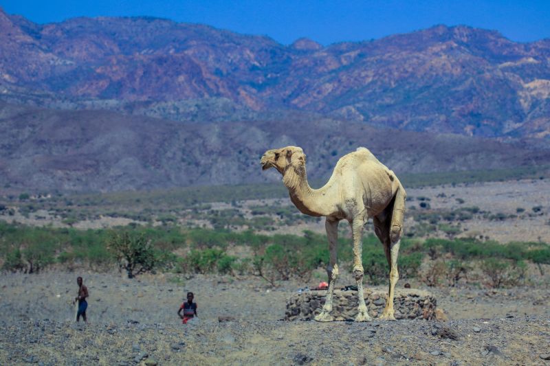 Foto principale della caccia al tesoro di Gibuti