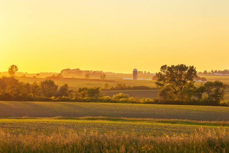 Clarinda‘s Corn-tastic Caper Scavenger Hunt card image