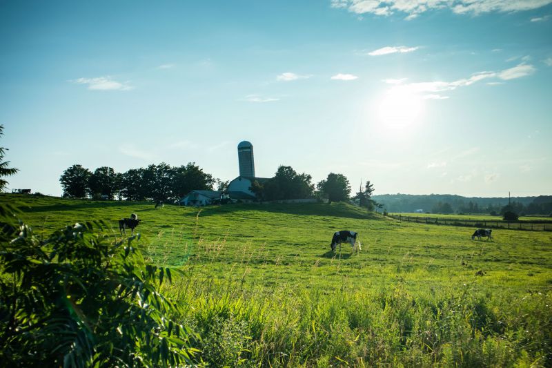 Fotografie principală a Vânătorii de Comori din Inverness, Quebec