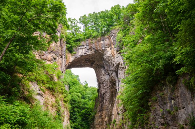 Natural Bridge Scavenger Hunt hero photo