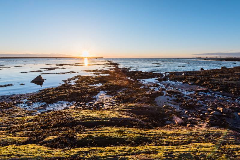 Foto principal de la Búsqueda del Tesoro de Rimouski