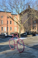 Imagem do Cartão da Caça ao Tesouro Sal-sacional de Saline