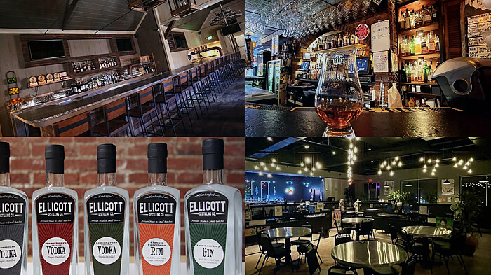 Ellicott Town Maryland Bar Hunt