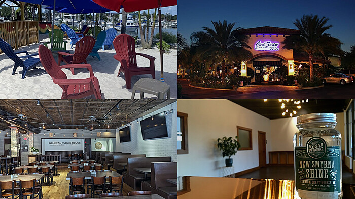New Smyrna Beach Florida Bar Hunt