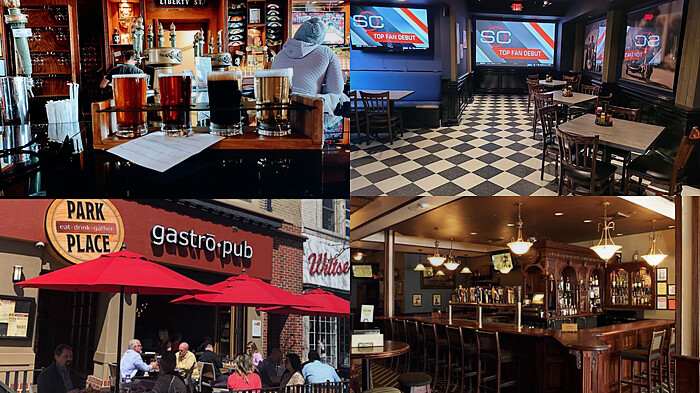 Plymouth Michigan Bar Hunt