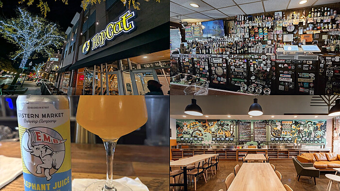 Royal Oak Michigan Bar Hunt