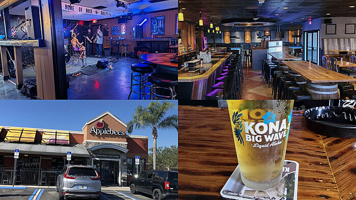 Spring Hill Florida Bar Hunt