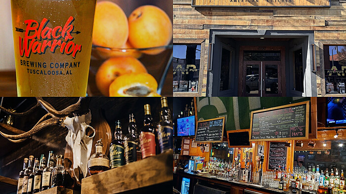 Tuscaloosa Bar Crawl hero photo